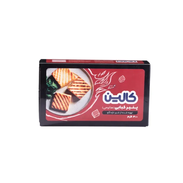 كالين پنير كبابي 400 گرم caka